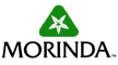 morinda7.gif (2312 bytes)